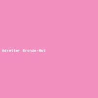 Adretter Bronze-Hut